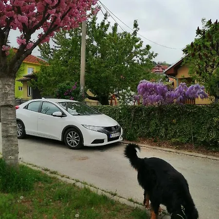 Pansion Velickovic * Niska Banja