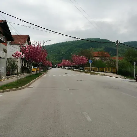 Pansion Velickovic Apartmán Niska Banja