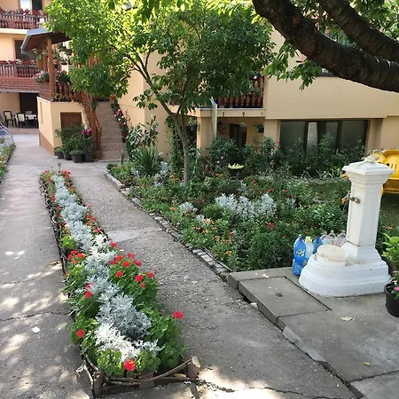 Pansion Velickovic *