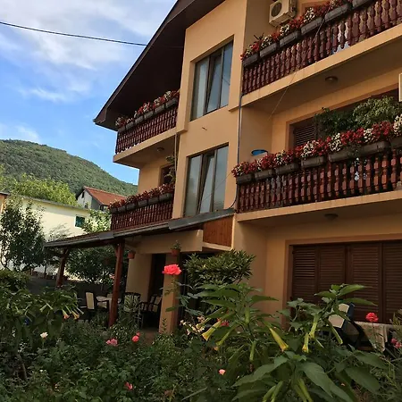 Apartmán Pansion Velickovic Niska Banja