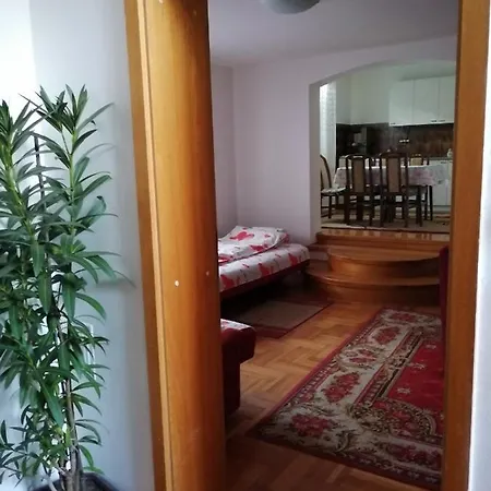Pansion Velickovic Apartmán Niska Banja