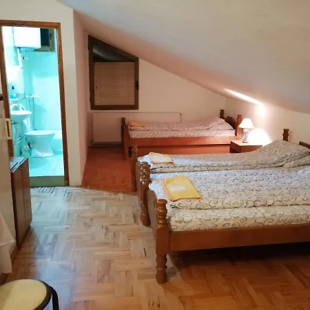 Pansion Velickovic Apartmán *